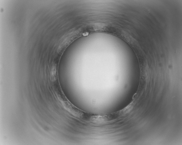 X0000055510082200508262151