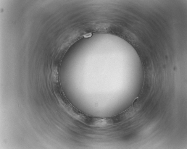 X0000055510083200508262151