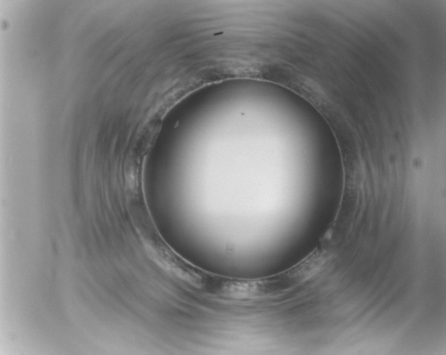 X0000055510084200508262151