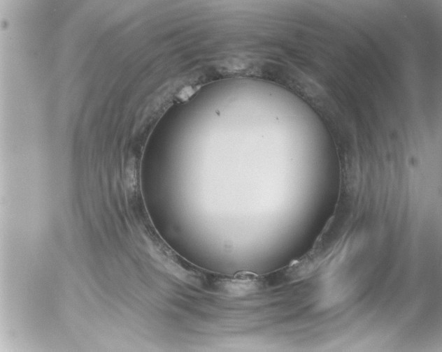 X0000055510085200508262151