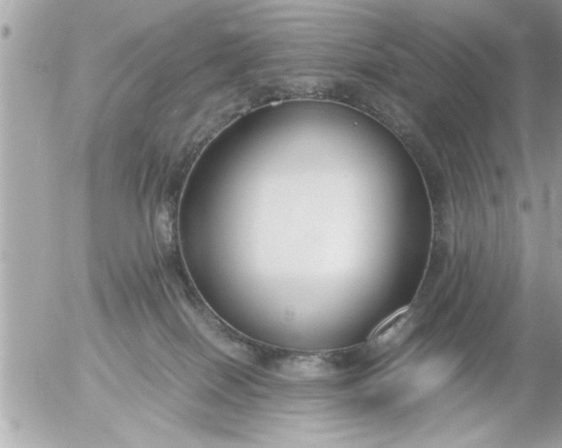 X0000055510086200508262151