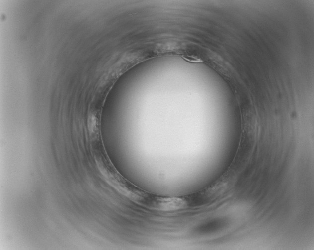 X0000055510087200508262151