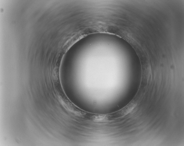 X0000055510088200508262151