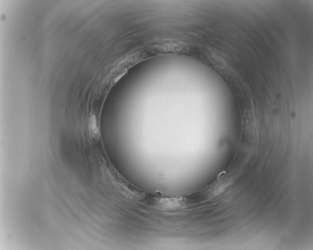 X0000055510089200508262151