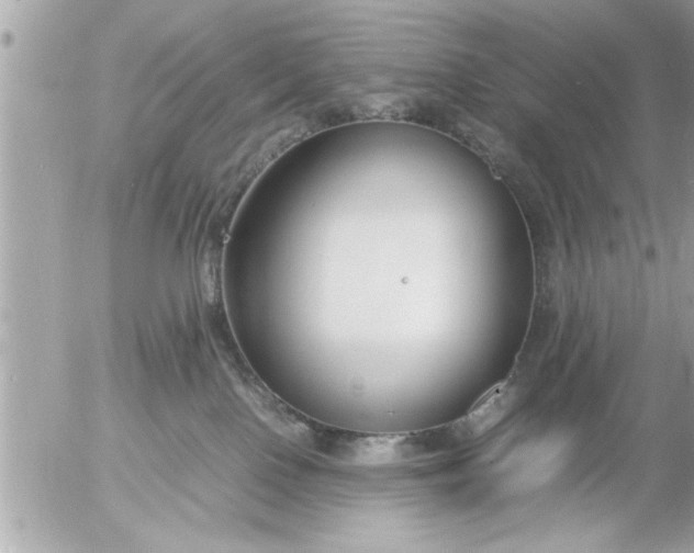 X0000055510090200508262151