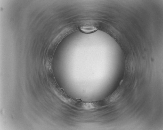 X0000055510091200508262151