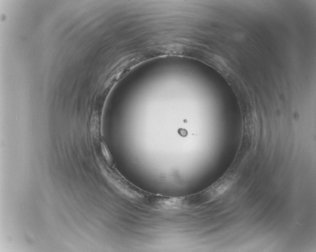 X0000055510092200508262151