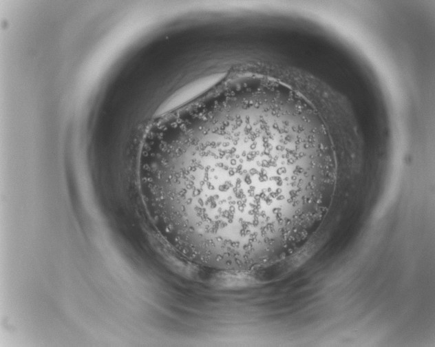 X0000055510093200508262151