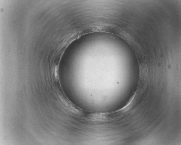 X0000055510094200508262151