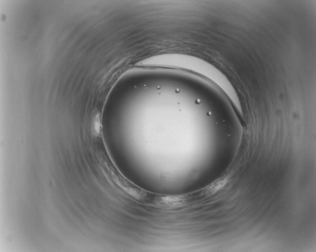 X0000055510095200508262151