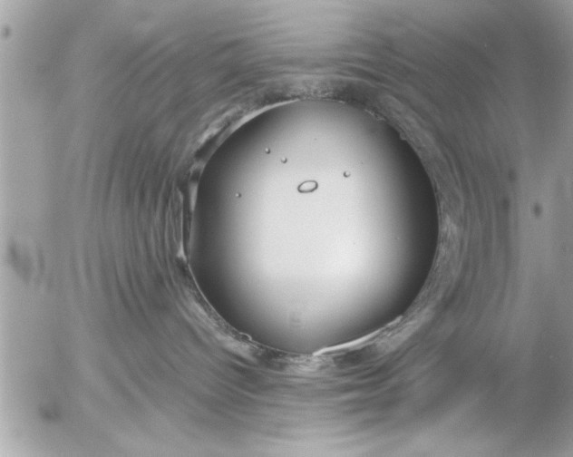 X0000055510096200508262151