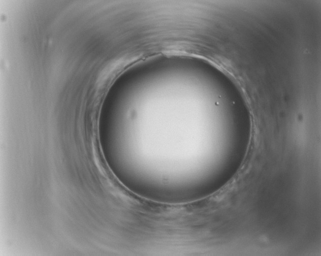 X0000055510097200508262150