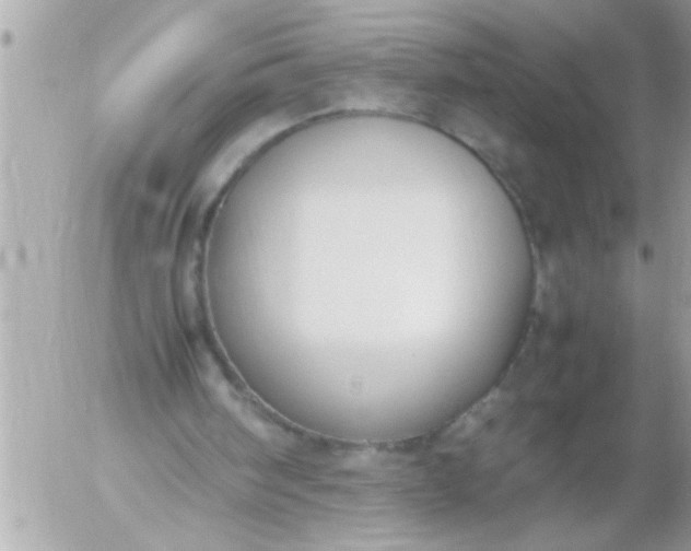 X0000055510098200508262150