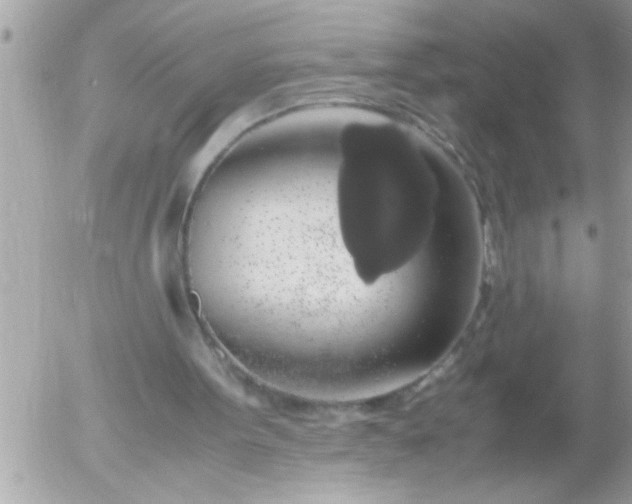 X0000055510099200508262150