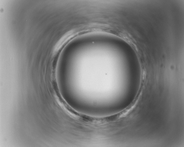 X0000055510101200508262150