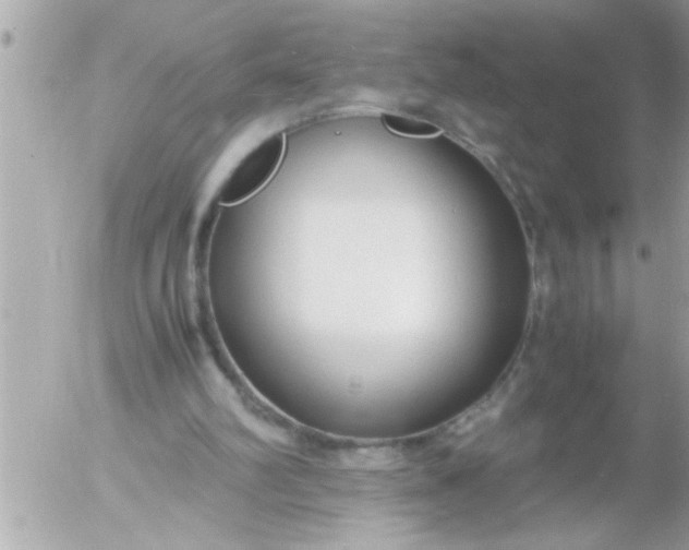 X0000055510102200508262150