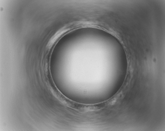 X0000055510103200508262150