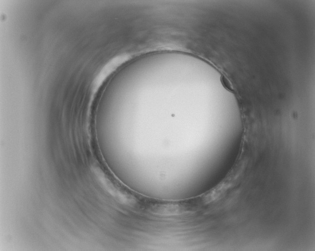 X0000055510104200508262150