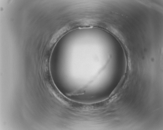 X0000055510105200508262150