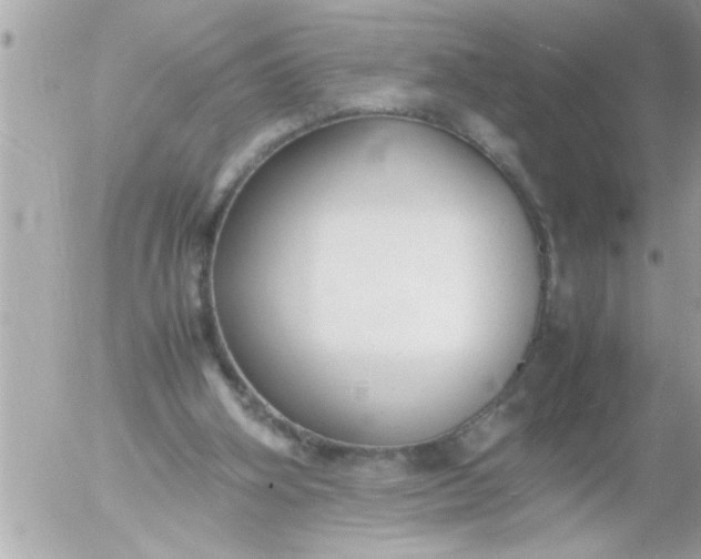 X0000055510106200508262150