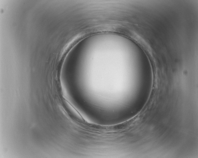 X0000055510107200508262150