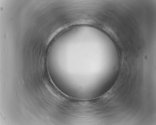 X0000055510108200508262150