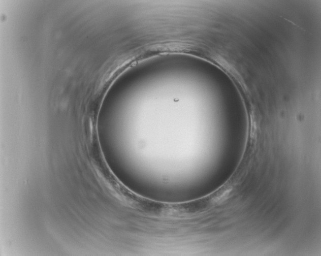 X0000055510109200508262150