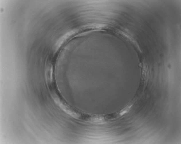 X0000055510110200508262150