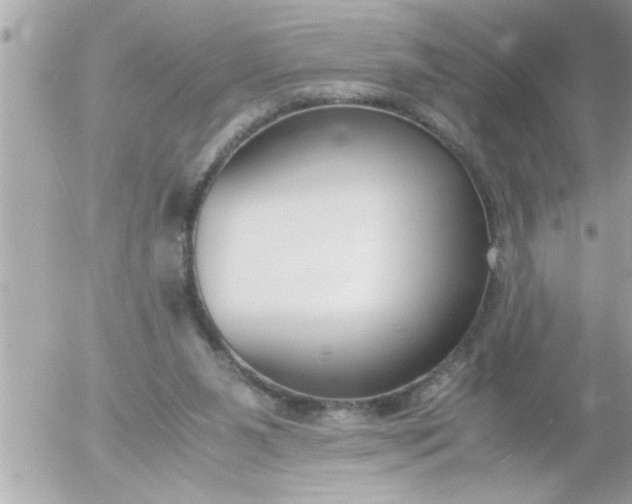 X0000055510111200508262150