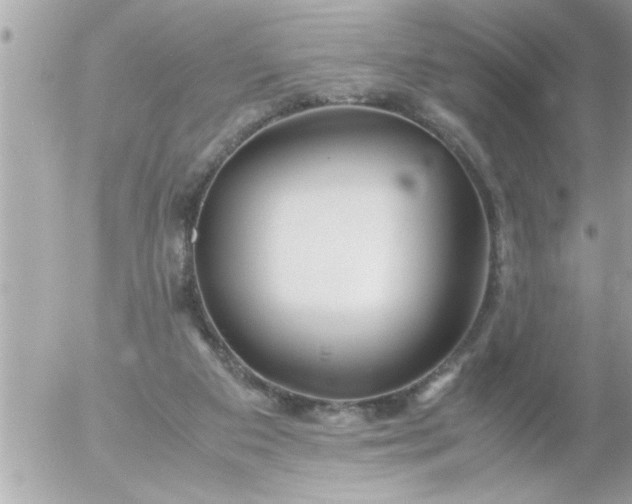 X0000055510113200508262150