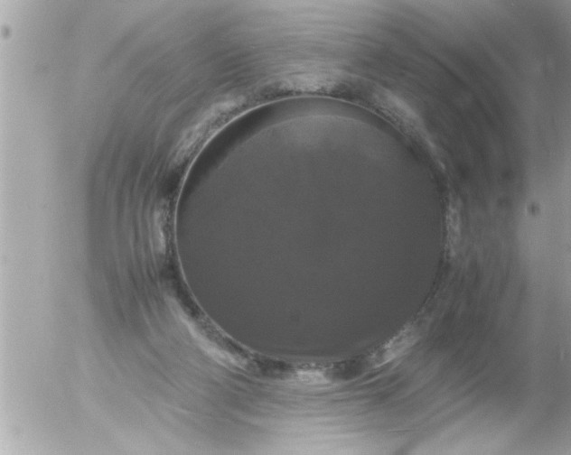 X0000055510114200508262150