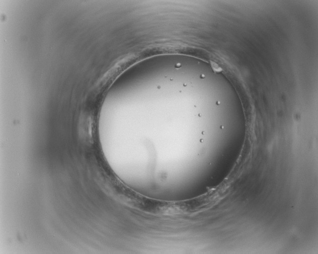 X0000055510115200508262150