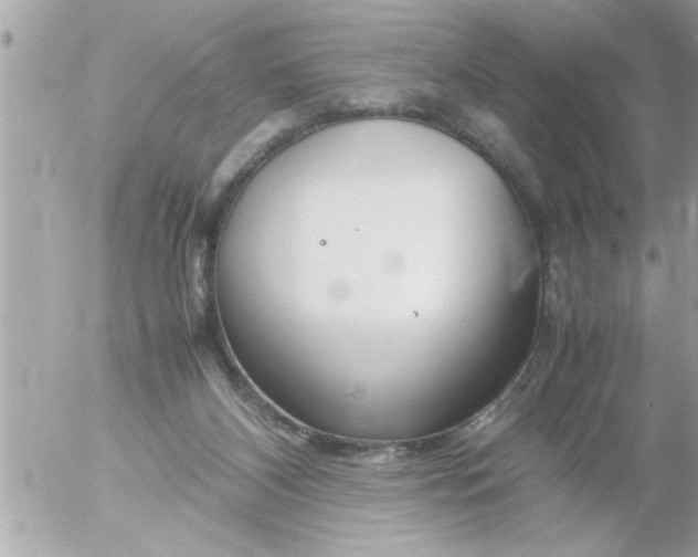 X0000055510116200508262150