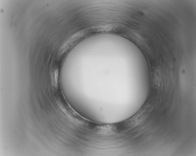 X0000055510118200508262150