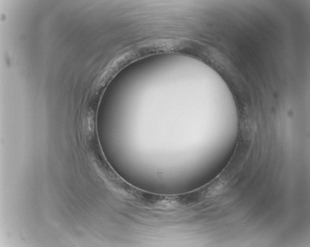 X0000055510119200508262150