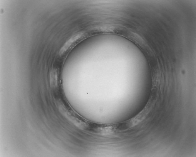 X0000055510120200508262150