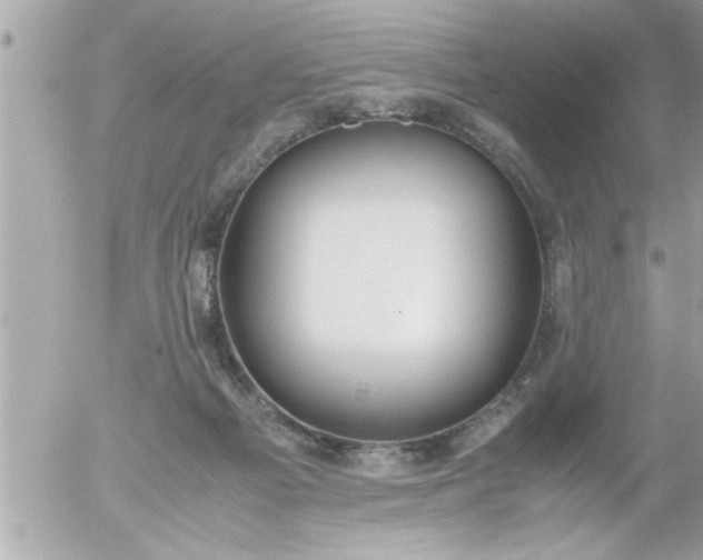 X0000055510121200508262150