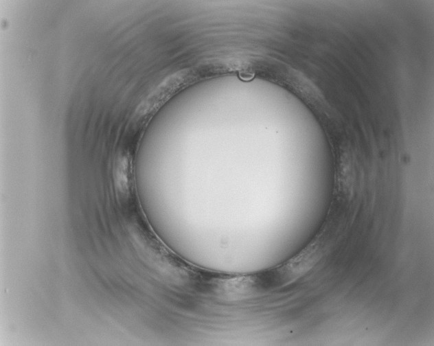 X0000055510122200508262150