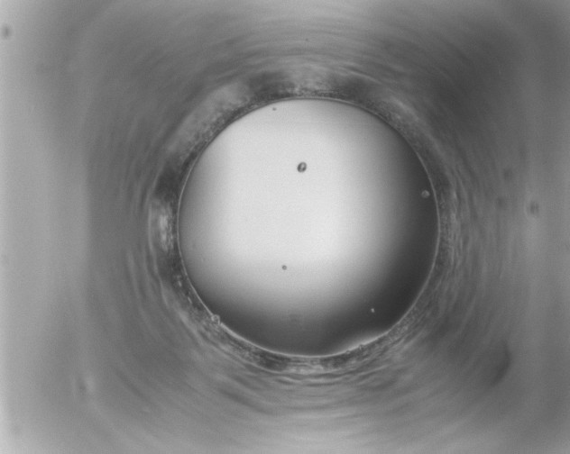 X0000055510123200508262150