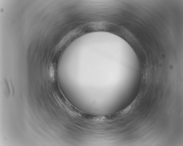 X0000055510124200508262150