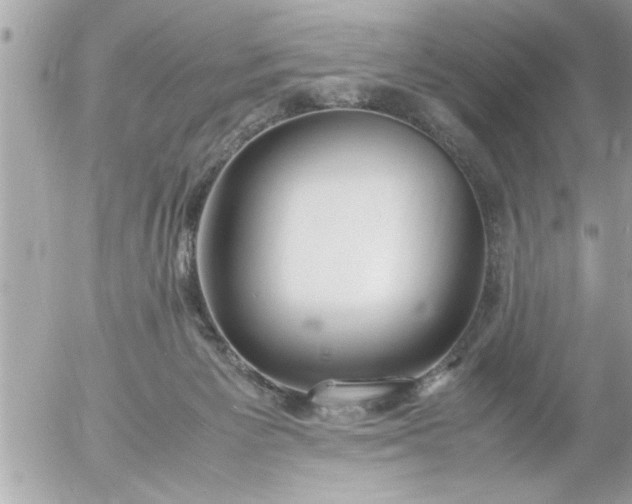 X0000055510125200508262150