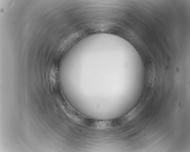 X0000055510126200508262150