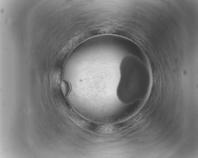 X0000055510127200508262150