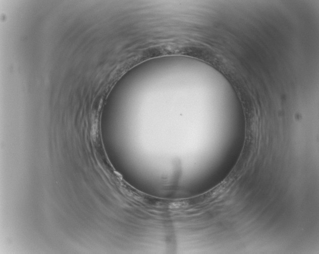 X0000055510129200508262150