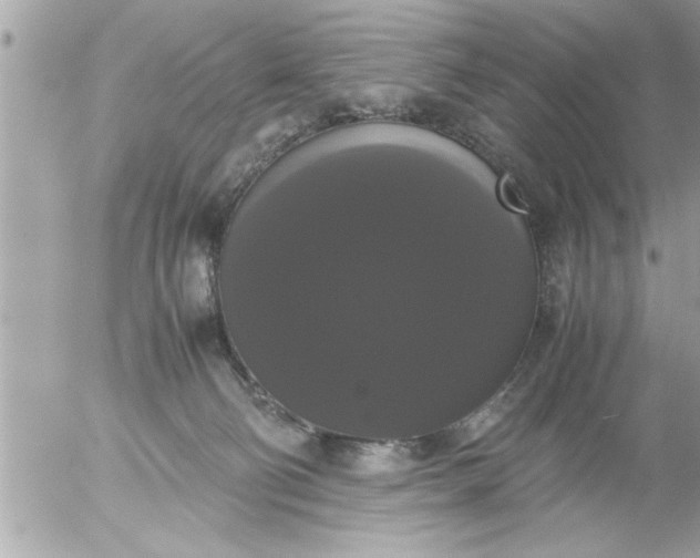 X0000055510130200508262150