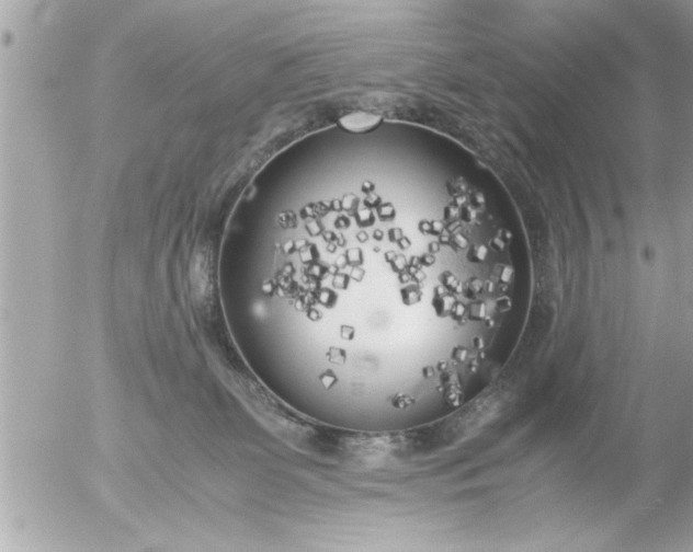 X0000055510131200508262150