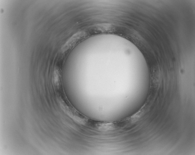 X0000055510132200508262150