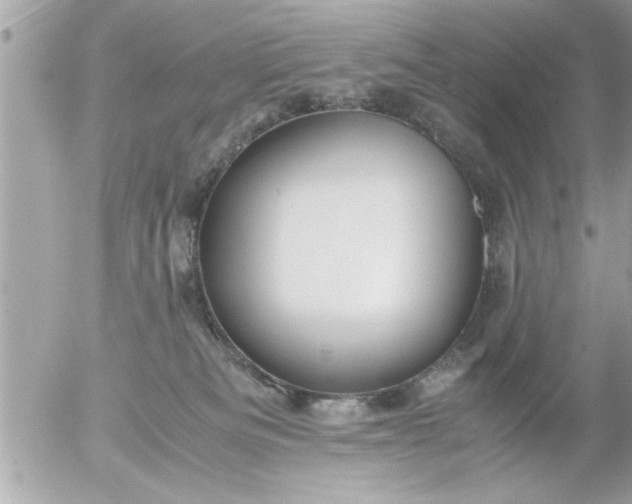 X0000055510133200508262150