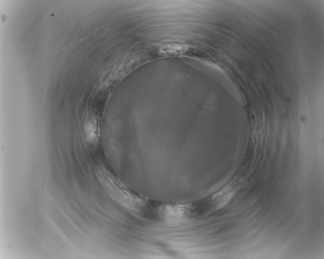 X0000055510134200508262150