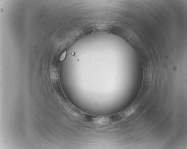 X0000055510135200508262150